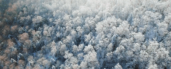 成都熊谷加世電器有限公司